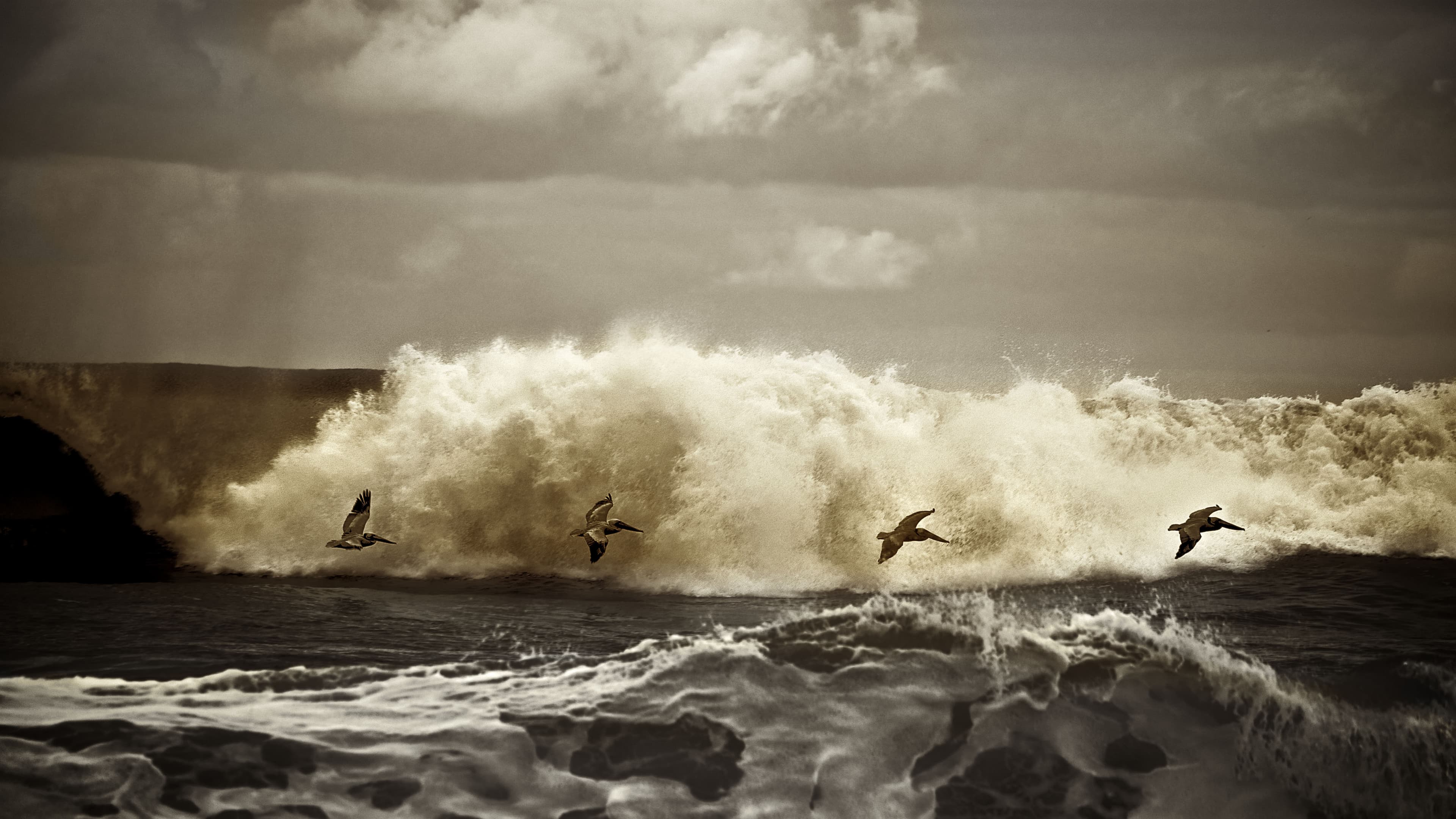 Variant Media Team — Newsletter