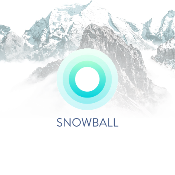 Snowball Money — Advertising & Data by Variant Media